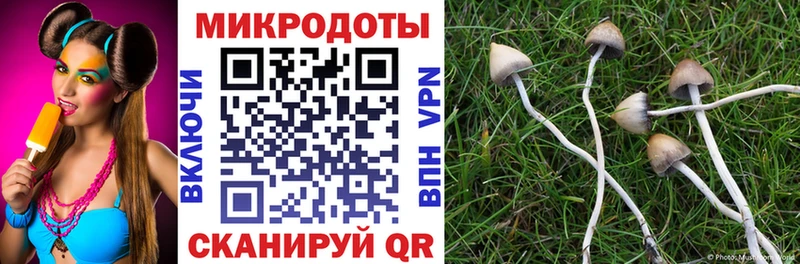 Псилоцибиновые грибы ЛСД  Беломорск 